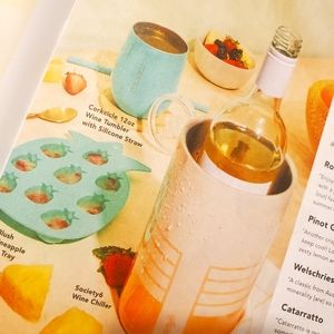 Wine bottle chiller Brand New in box